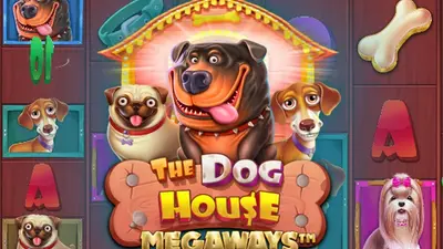 the dog house megaways